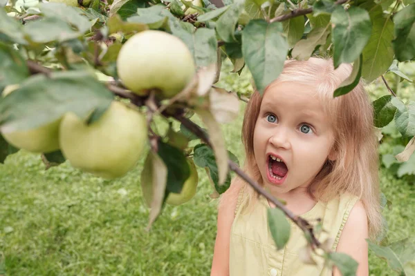 Liten Blond Flicka Grön Klänning Tittar Äpplen Ett Träd Med — Stockfoto