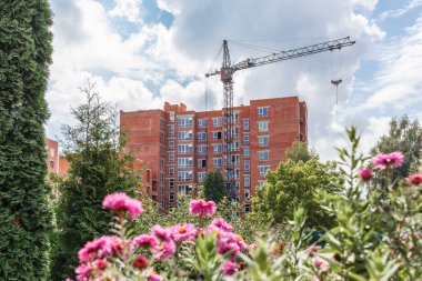 Bir yerleşim alanı inşa etme süreci. Çiçekli inşaat alanı
