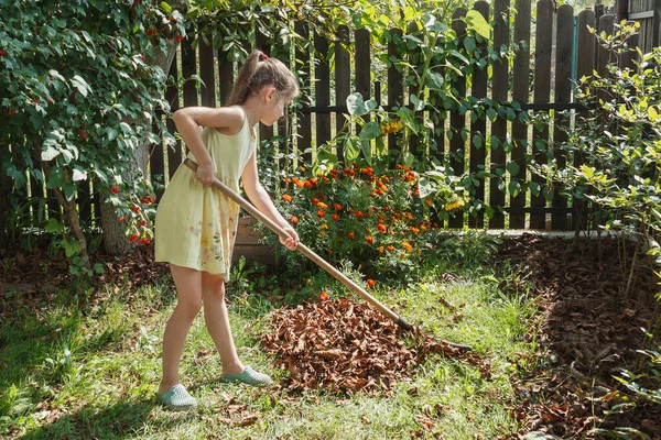 Little Girl Rakes Dry Leaves Garden Flower Background — Stock Photo, Image