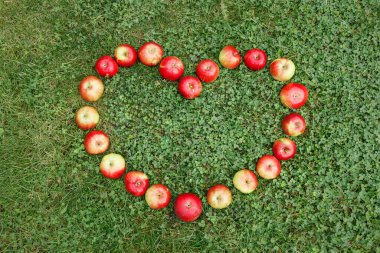 Olgun elmalar, kalp şeklinde çimenlerin üzerine serilirler.