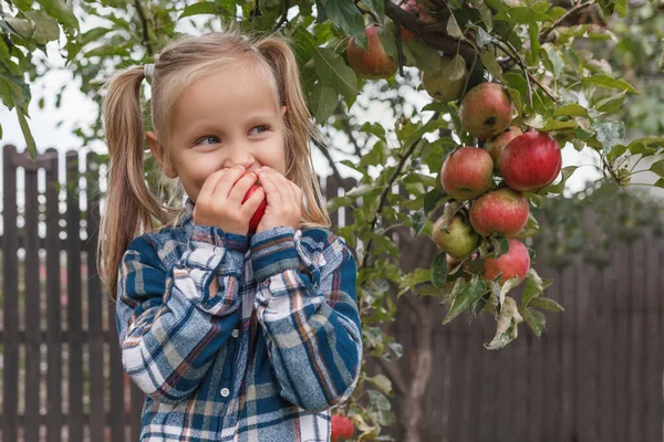 Niña Rubia Una Camisa Cuadros Come Una Manzana Jardín Sosteniéndola — Foto de Stock