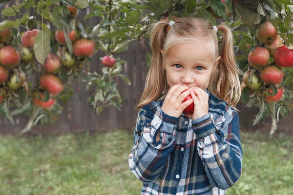 Niña Rubia Una Camisa Cuadros Come Una Manzana Jardín Mira — Foto de Stock