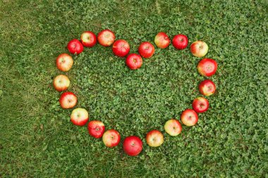Çimenlerin üzerinde olgun elmalar bir kalp şeklinde serilmiştir.