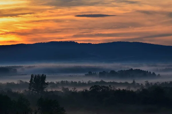 Yaz Gecesi Sis Içinde Ovalar Görünür Serin Nemli Olur Otlar — Stok fotoğraf