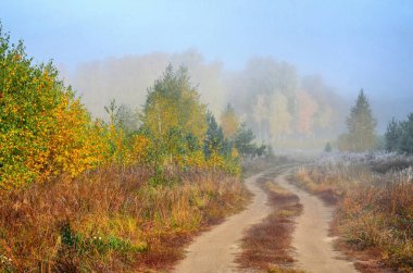 Sonbahar ormanda. Eylül ayında, ilk frosts tarafından Urallar başlar. Sabahları frost çimenlerin üzerinde görünür ve bırakır. Ve yaz gibi sıcak güneşli havalarda öğleden sonra.