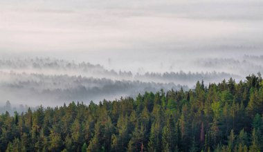 Yaz turistik gezi için Ural Dağları