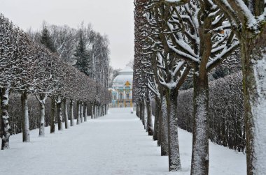 St. Petersburg, Avrupa'nın en güzel şehirlerinden biri olan kışın