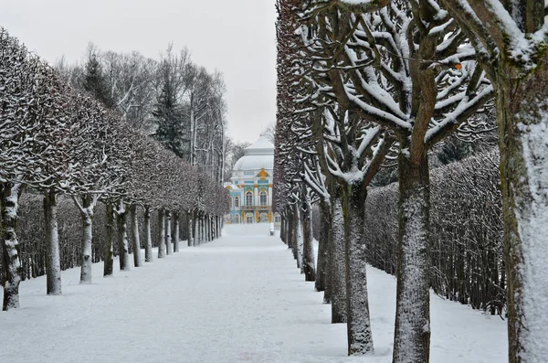 ヨーロッパで最も美しい都市の サンクトペテルブルクの冬 — ストック写真