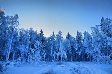 Güney Urallar dağlarında kış sabahı