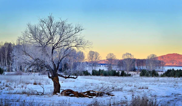 Manhã Inverno Nas Montanhas Dos Urais Sul — Fotografia de Stock