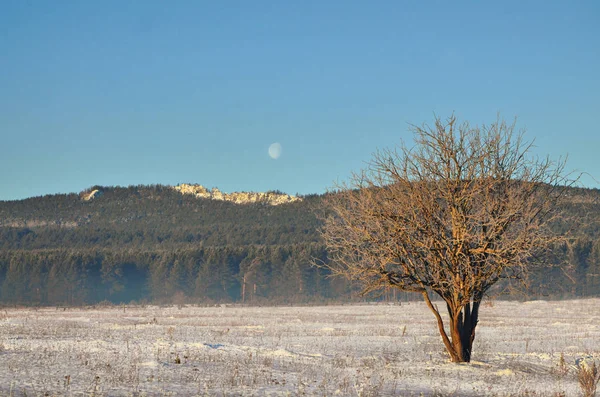 在南部乌拉尔的山的冬天的早晨 — 图库照片