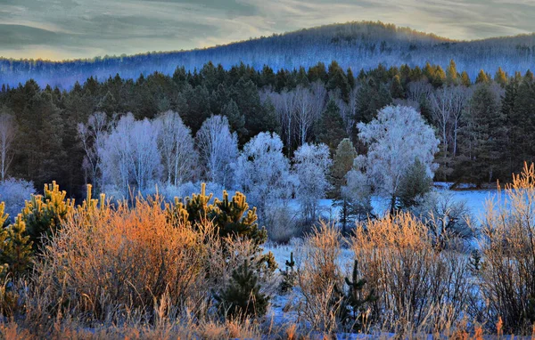 Mañana Invierno Las Montañas Los Urales Del Sur — Foto de Stock