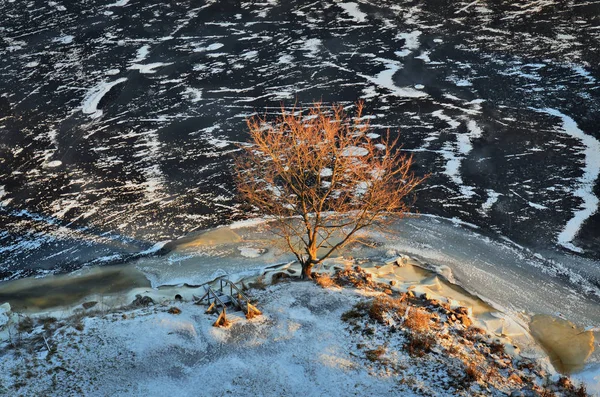 月にヴィボルグの古い町は徒歩です 古い天守閣から下を見る — ストック写真