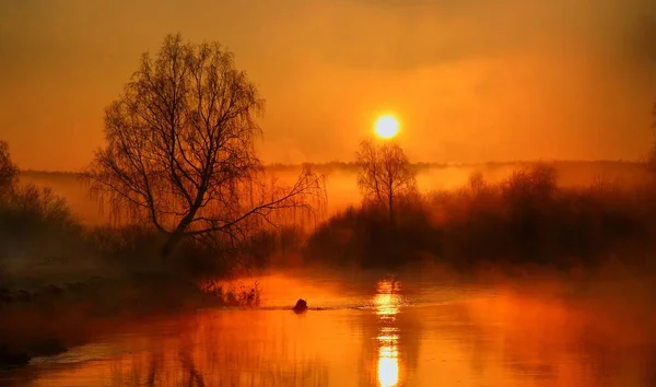 在米亚斯河畔的清晨 — 图库照片