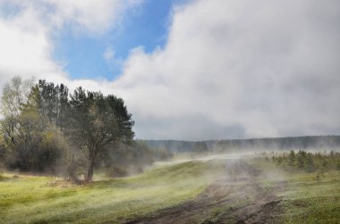 Güney Urallar geldi dağlarda Sunny sıcak bir bahar.