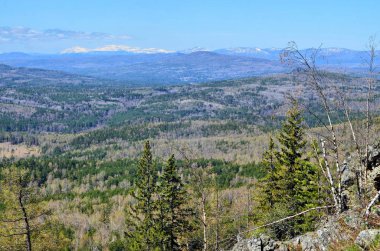 Güney Urallar geldi dağlarda Sunny sıcak bir bahar.