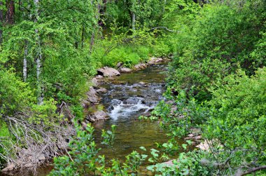 Arsha Güney Urallar küçük dağ nehirler biridir.