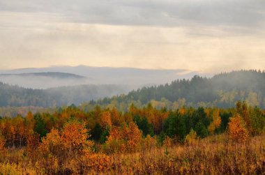 Sıcak altın sonbahar Güney Urallar dağlarında. Fotoğrafçılar ve sanatçılar için harika bir zaman.