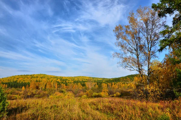 Otoño Oro Cálido Las Montañas Los Urales Del Sur Gran — Foto de Stock