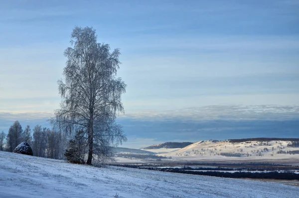 Dezemberausflug Die Berge Des Südlichen Ural — Stockfoto