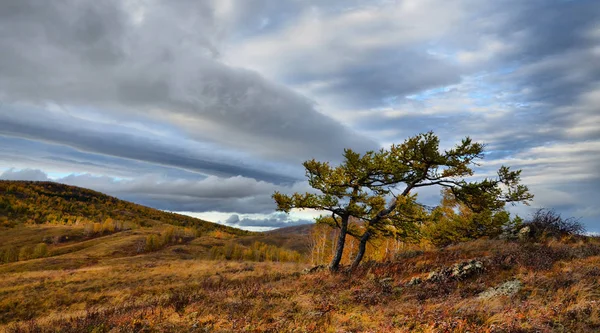 Tour Otoño Los Urales Del Sur Naturaleza Reina Otoño Dorado —  Fotos de Stock