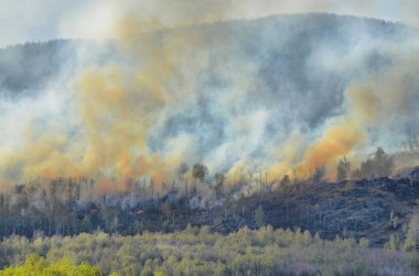 Mayıs 2019. Güney Urallar, kuru ve sıcak hava kurdu. Sonuç olarak, yangınlar sık hale gelmiştir. Miass ve Uchaly şehirleri arasında bulunan fotoğraf yanan sırt Irendyk, olarak