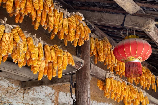 Corncobs et lanterne chinoise pendus au-dessus de l'entrée d'une maison traditionnelle de hmong dans la province de Ha Giang, Nord du Vietnam . — Photo