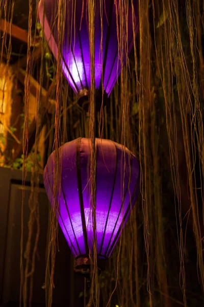 Purple lanterns at night surrounded by roots or lianas in the Ancient City of Hoi An, Vietnam.