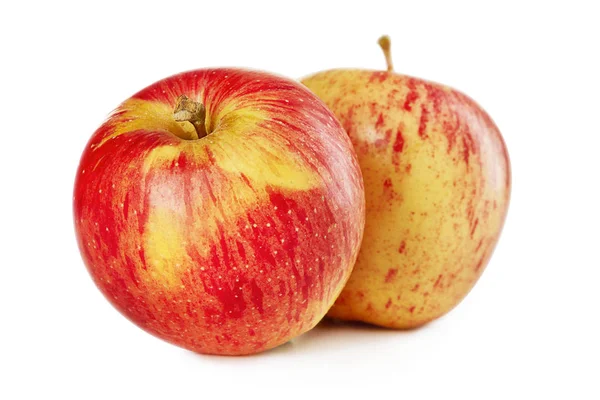 Taze kırmızı elma. Ön görüş. Stüdyo çekimi.