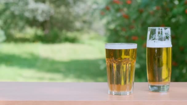 Glas bier licht en donker op tafel. Natuurlijke achtergrond. — Stockvideo