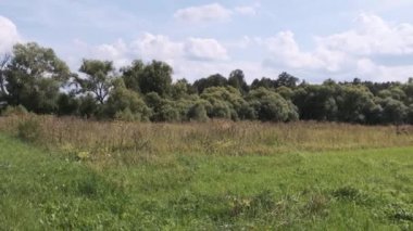 Yeşil alan ve ağaçlar ile doğa manzara.