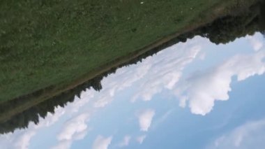 Yeşil alan ve ağaçlar ile doğa manzara.