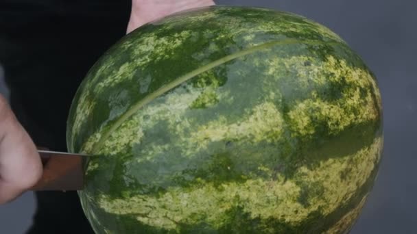 Meloun se dal na černý podklad. Ruce drží meloun s vodou, nůž, řez a oddělené. — Stock video