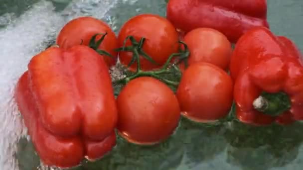 Pimienta roja fresca y tomate con gota y agua de chorro . — Vídeos de Stock