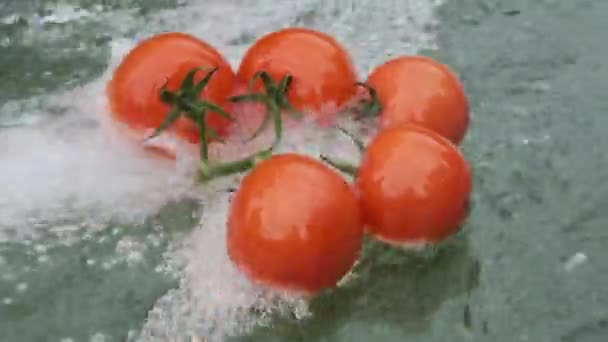 Onda de água e gotas com tomate vermelho fresco . — Vídeo de Stock