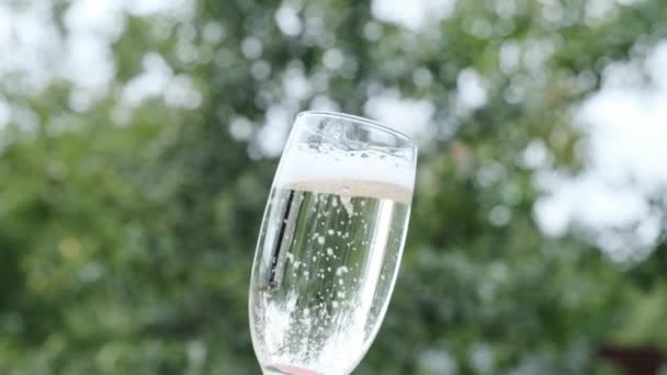 Group glasses with sparkling champaign with bubbles. — Stock Video