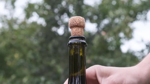 Ouvre une bouteille de champagne au ralenti . — Video