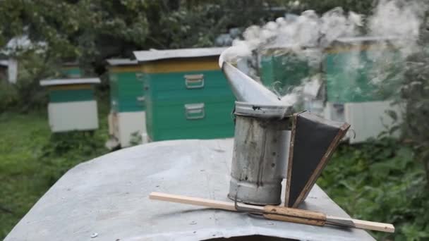 烟民养蜂工具装置在蜂巢. — 图库视频影像