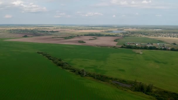Vista aérea de los campos verdes, tejados de un pequeño pueblo y caminos . — Vídeos de Stock