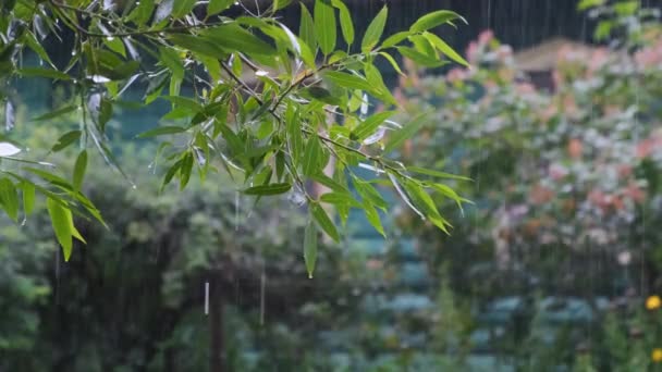 Flujo de lluvia desde el techo de una casa hasta el suelo — Vídeos de Stock