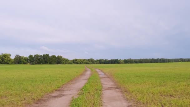 Bekijk footage vlucht over landelijke weg in groen veld. — Stockvideo