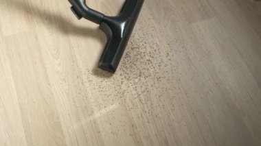 Elektrikli süpürge kullanarak ahşap zemin temizliği. Gün ışığı.