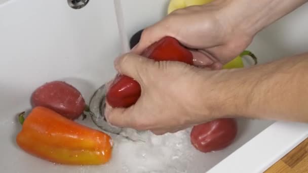 Handtvätt färska vegetablies vid diskbänk. — Stockvideo