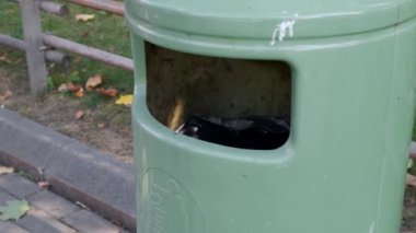 Kadın el yeşil bir çöp çöp içine sudan plastik şişe atar.