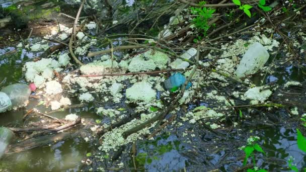 Πλαστικά σκουπίδια ρύπανσης στο ποτάμι με διάφορα είδη σκουπιδιών. — Αρχείο Βίντεο
