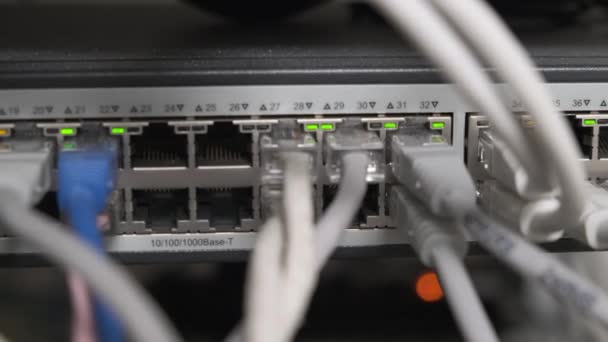 Detaljer från fungerande Ethernet-server, fullt fungerande, sändande och mottagande — Stockvideo