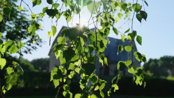 Luz natural del sol la mañana de verano brilla a través de la hoja con la casa de cerca — Vídeos de Stock