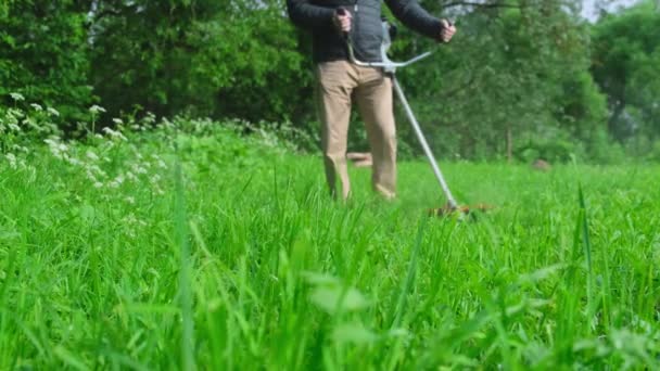 Moderne oranje trimmer maait groen gras van dichtbij — Stockvideo