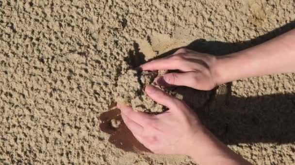Взрослый мужчина рука берет песок близко — стоковое видео