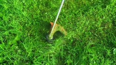 Modern portakal biçme makinesi yeşil çimenleri biçer.